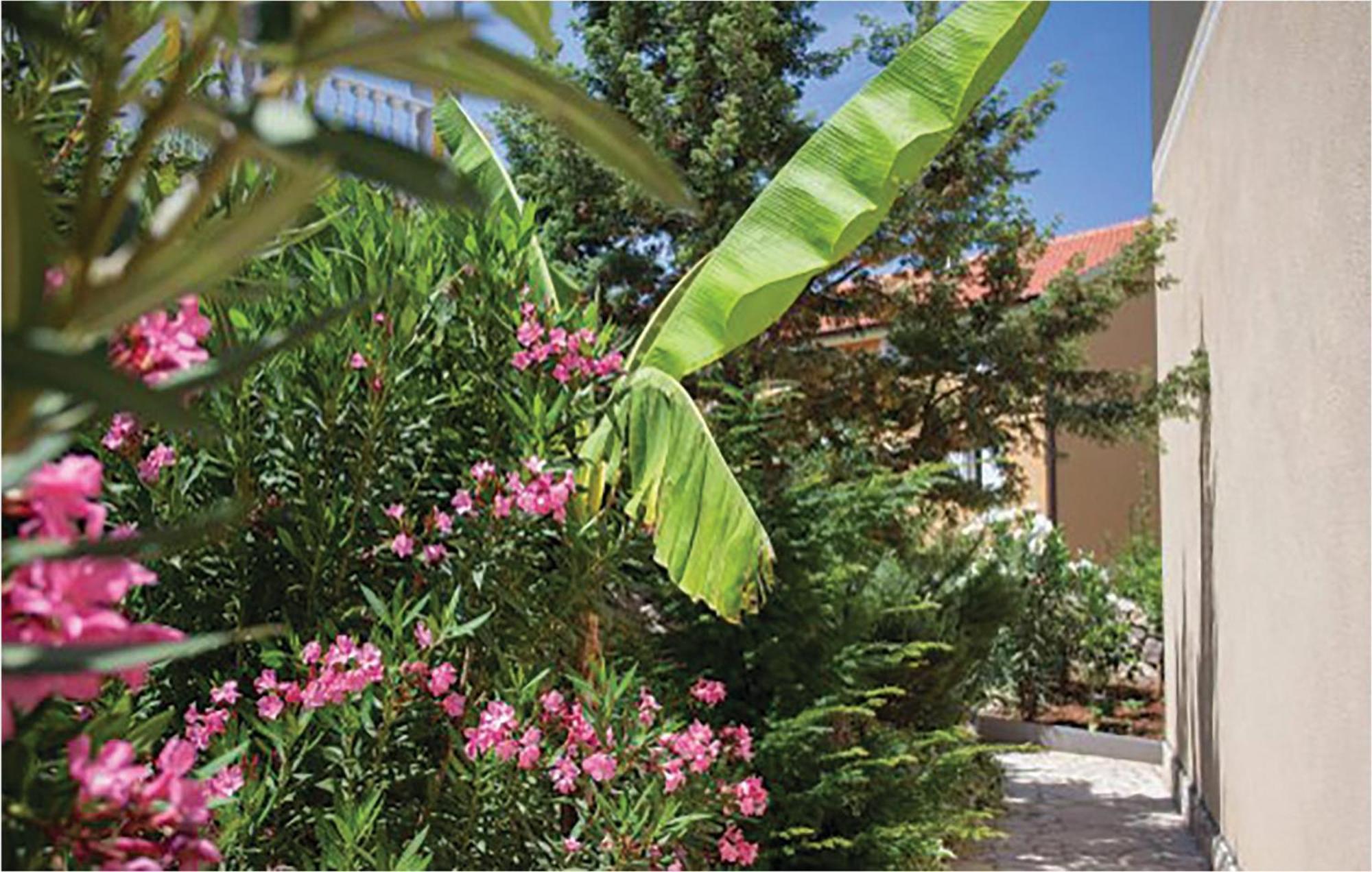 Amazing Apartment In Malinska With Kitchen מראה חיצוני תמונה